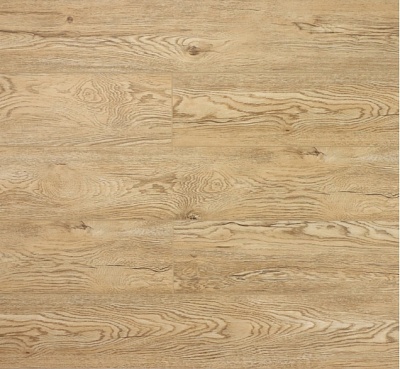 Дуб Золотистый