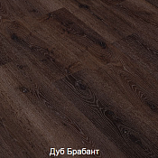 Дуб Брабант