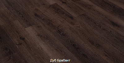 Дуб Брабант