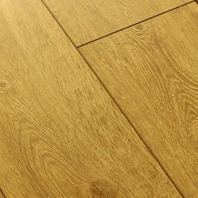 Дуб Авелгем