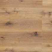 AF 4038 SPS