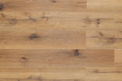 AF 4038 SPS