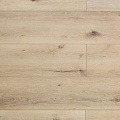 AF8004