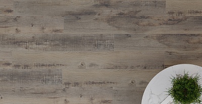 59 Дуб Карелия