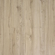 J1926 Дуб Блэкпул