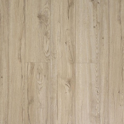 J1926 Дуб Блэкпул