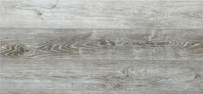 Дуб европейский