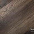 45708 Дуб Семпре