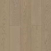 Дуб Альпийский