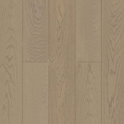 Дуб Альпийский