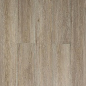 J1928 Дуб Плимут