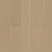 Дуб Шампань