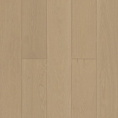 Дуб Шампань