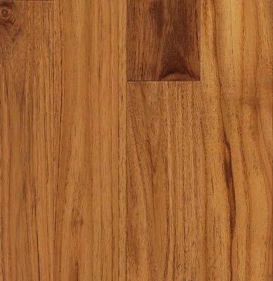 Тик индонезийский