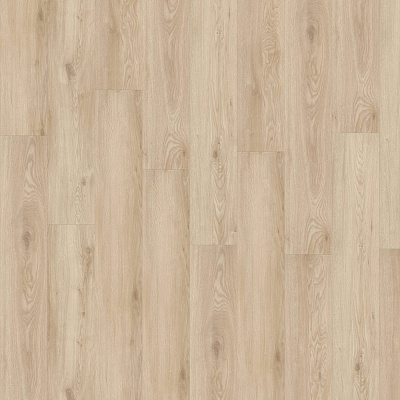 CHAPMAN OAK 05321