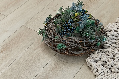 Дуб Белая Ночь