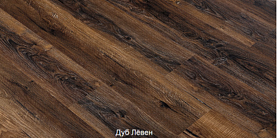 Дуб Лёвен