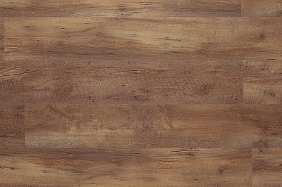 AF5503 GLUE