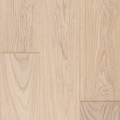 Дуб Петергофский