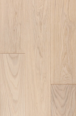 Дуб Петергофский