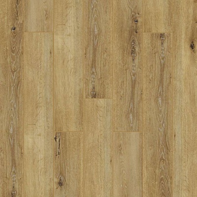 Таксония RC004