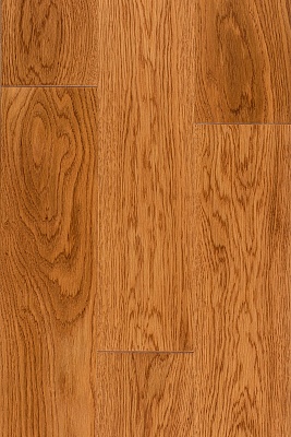 Дуб Эрмитаж