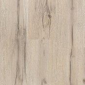 Дуб Янтарный Светлый