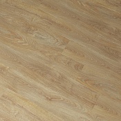 Дуб Тоскана