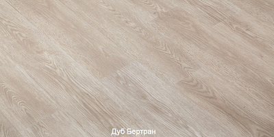 Дуб Бертран