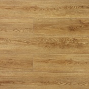 Дуб Скальный