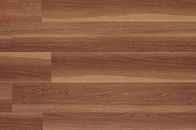 AF5504 GLUE