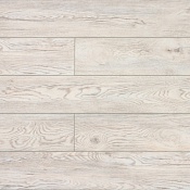 Дуб Каменный