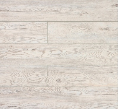 Дуб Каменный