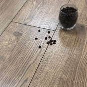 46 Дуб Пробковый