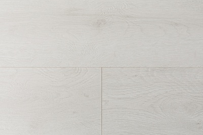 DYPV258 Дуб Фрост