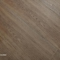 45711 Дуб Лодис