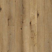 Дримерс J1004