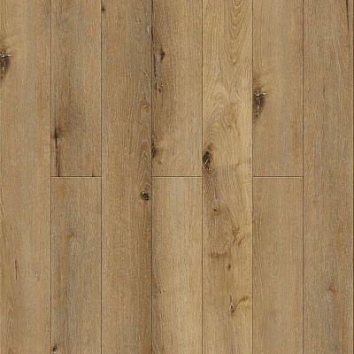 Дримерс J1004