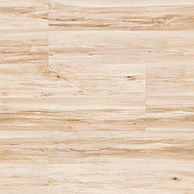 Maple
