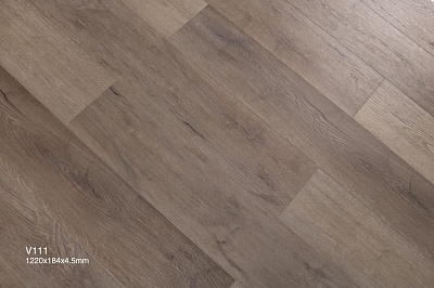 AI111 Дуб Эуфорбия