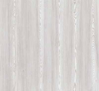 ТИХООКЕАНСКАЯ СОСНА