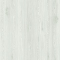 6009-20  Light 