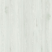6009-20  Light 
