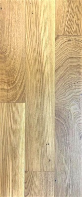 Дуб Кронштадтский