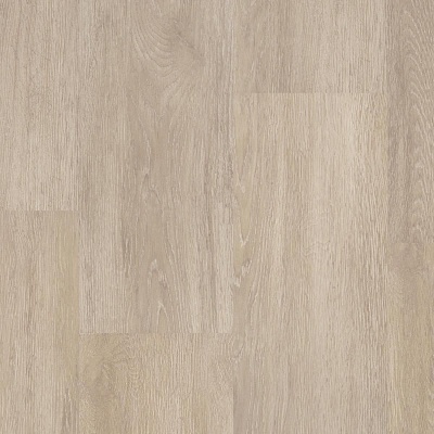 Rocky Oak