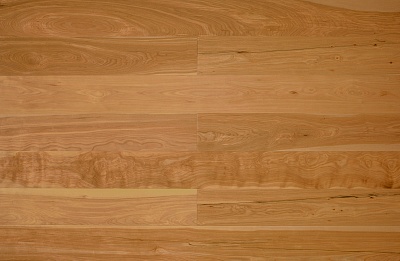 Берёза Жёлтая Кантри 125 мм