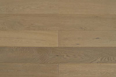 Дуб Шампань