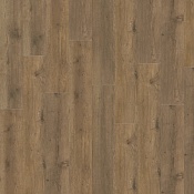  MAJOR OAK 05855
