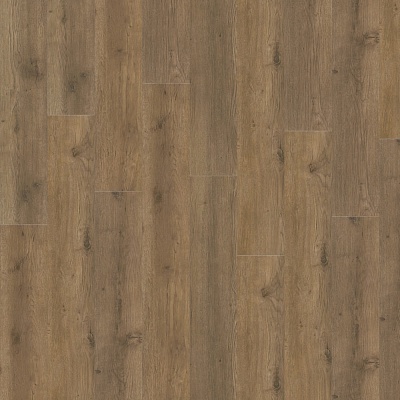  MAJOR OAK 05855
