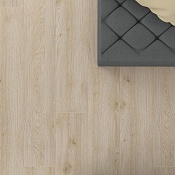 48 Дуб Индийский Песочный